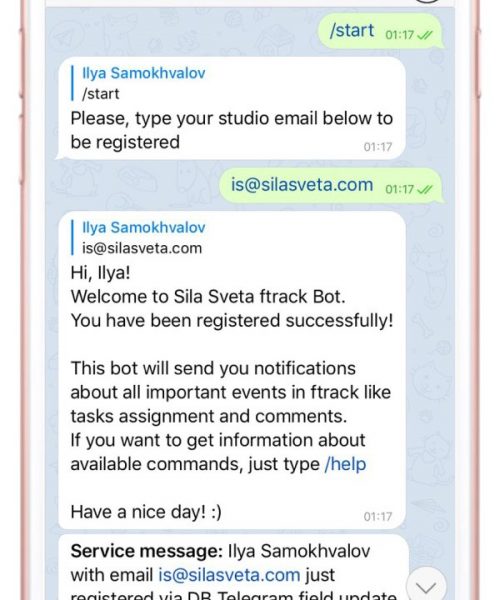 Sila-Sveta_API-customization_2c-500x600