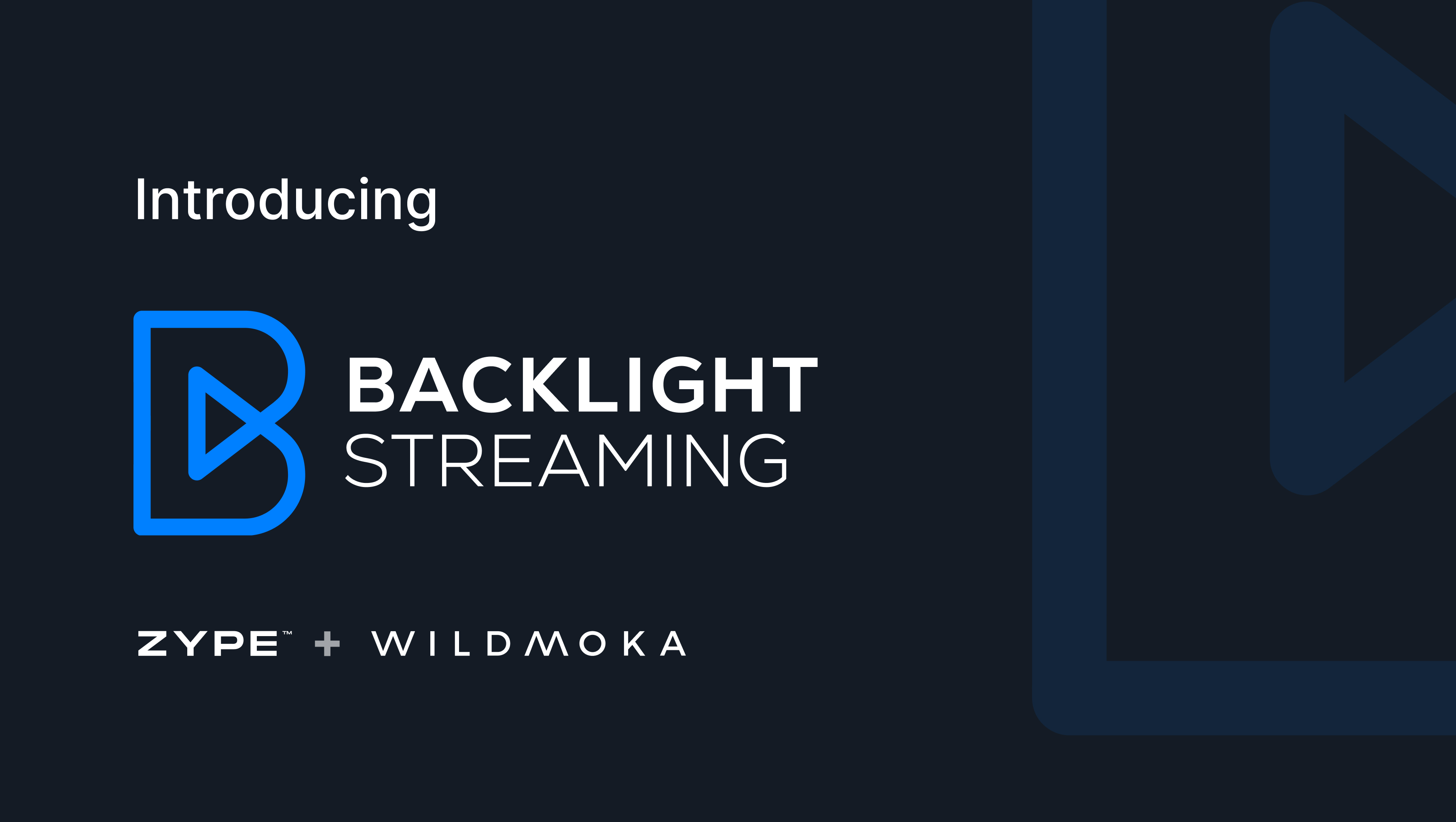 Backlight Announces New Organizational Structure with Two Divisions