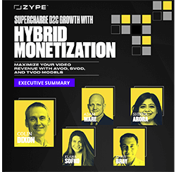Expert Insights on Hybrid Video Monetization: Drive D2C Growth